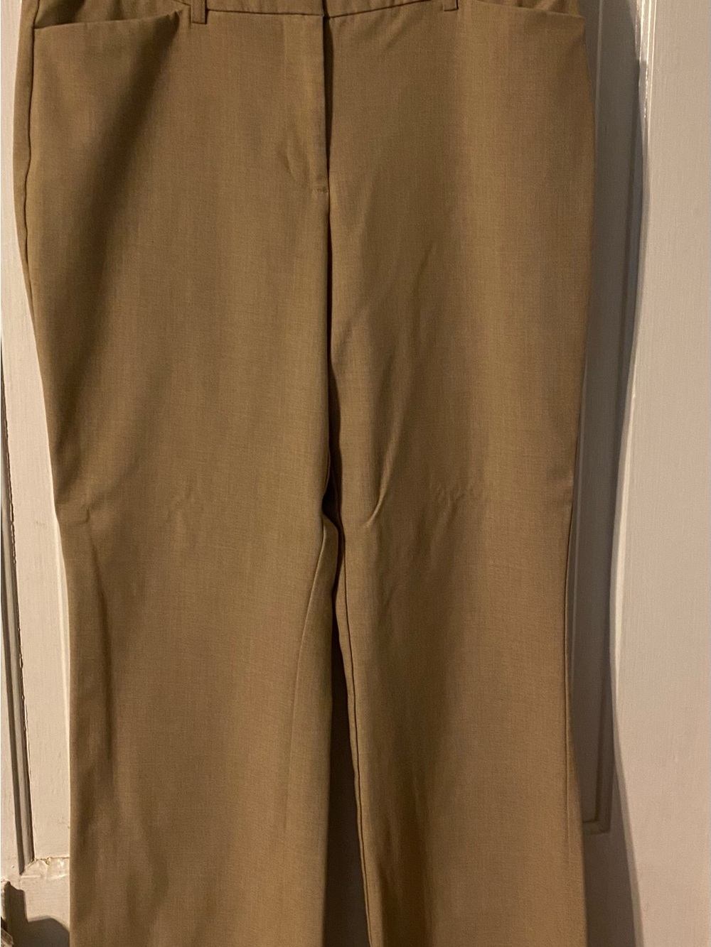 Women’s Tailored Tan Dress Pants